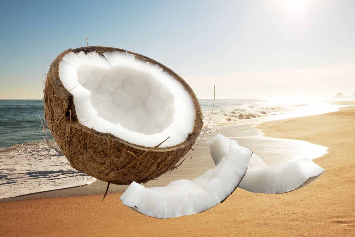 spiaggia mare cocco
