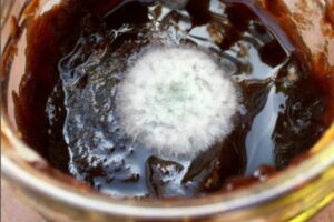 marmellata con muffa