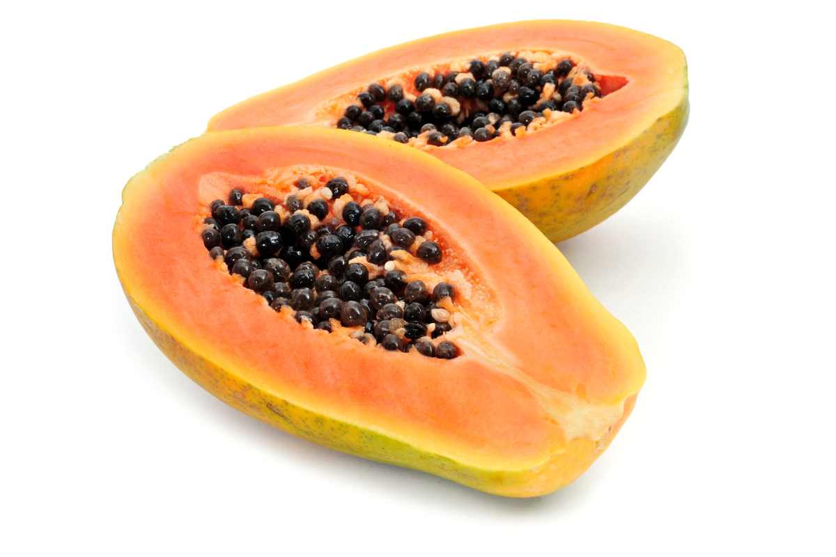 papaya