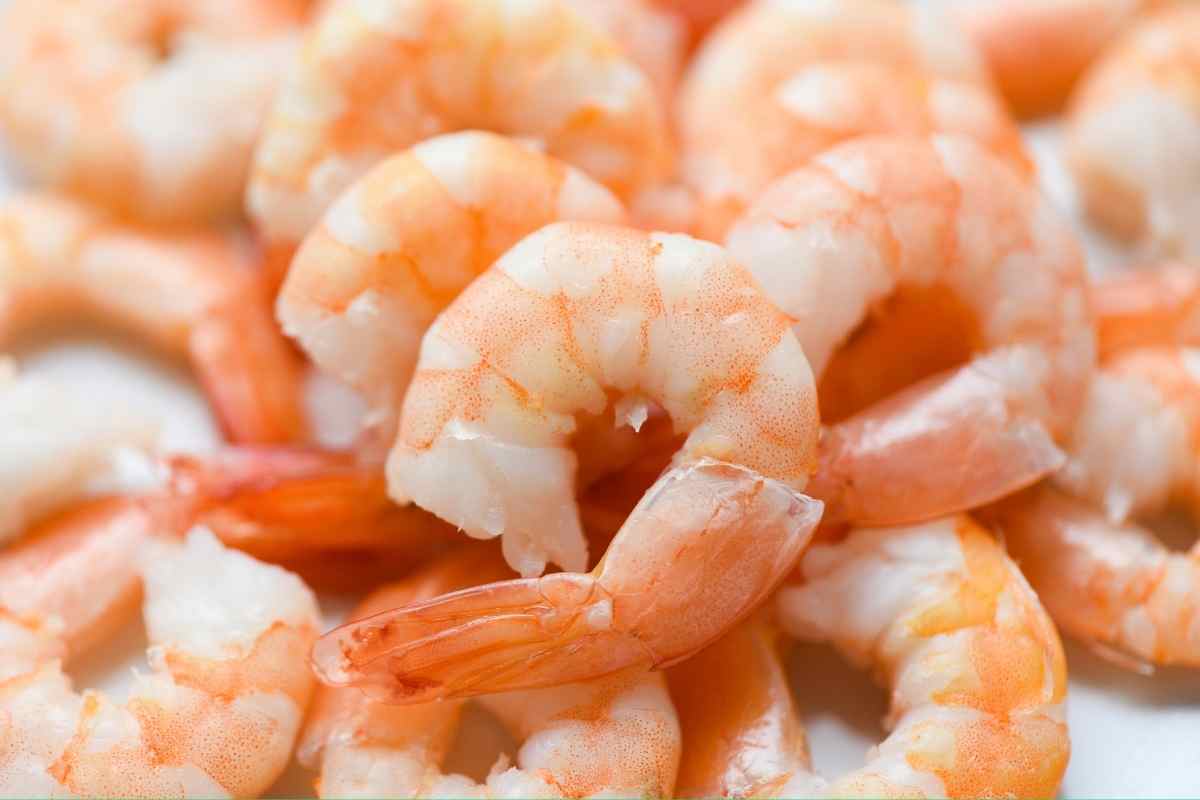 richiamo alimentare gamberetti