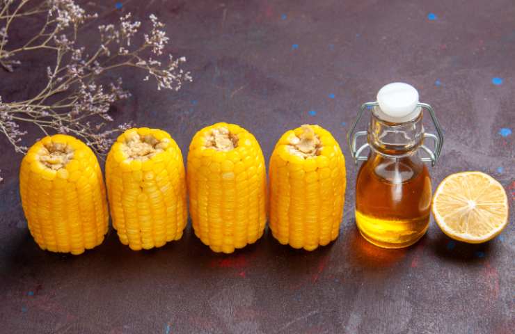 Olio di mais