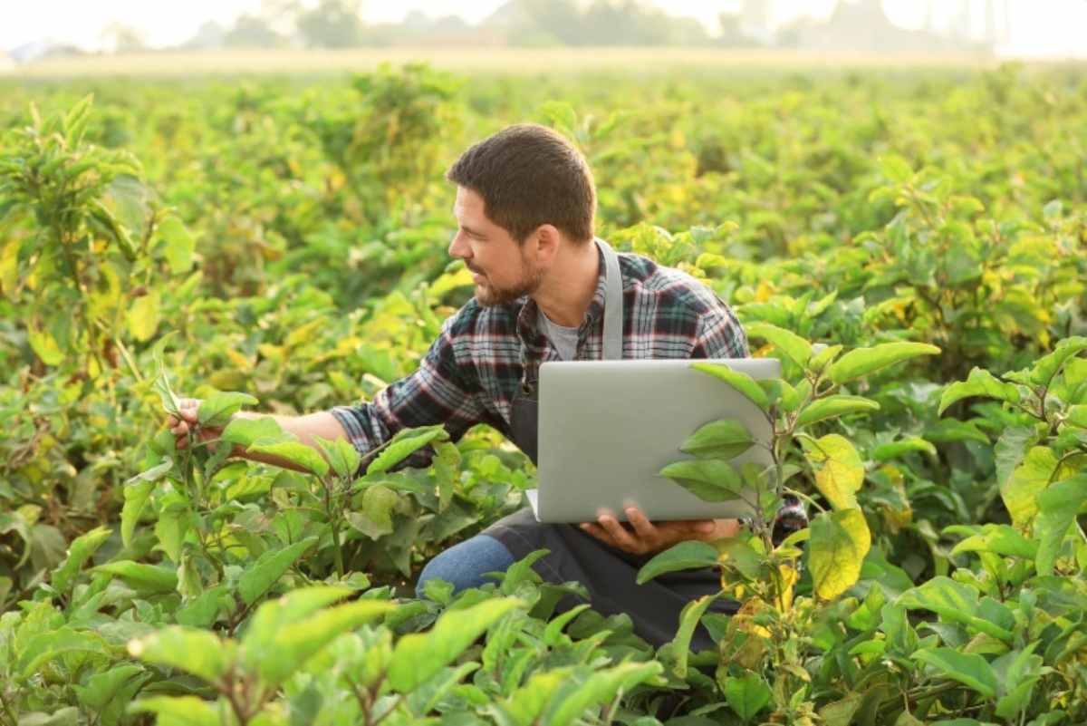 Persona nel campo agricolo