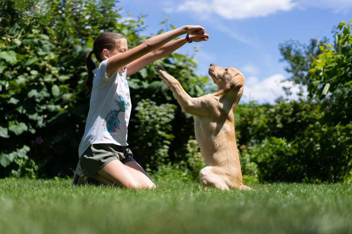 bimba con il cane in giardino