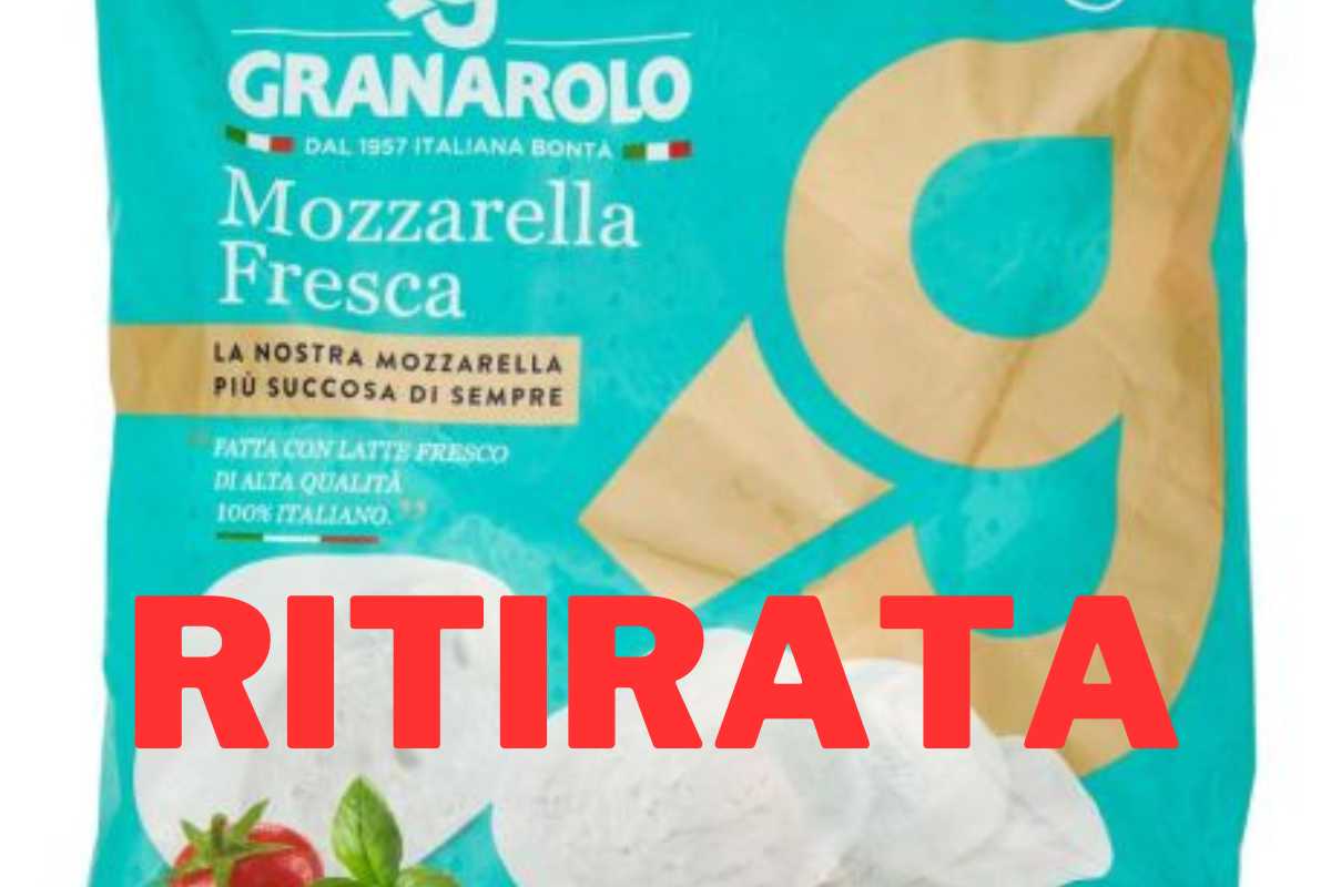 mozzarella