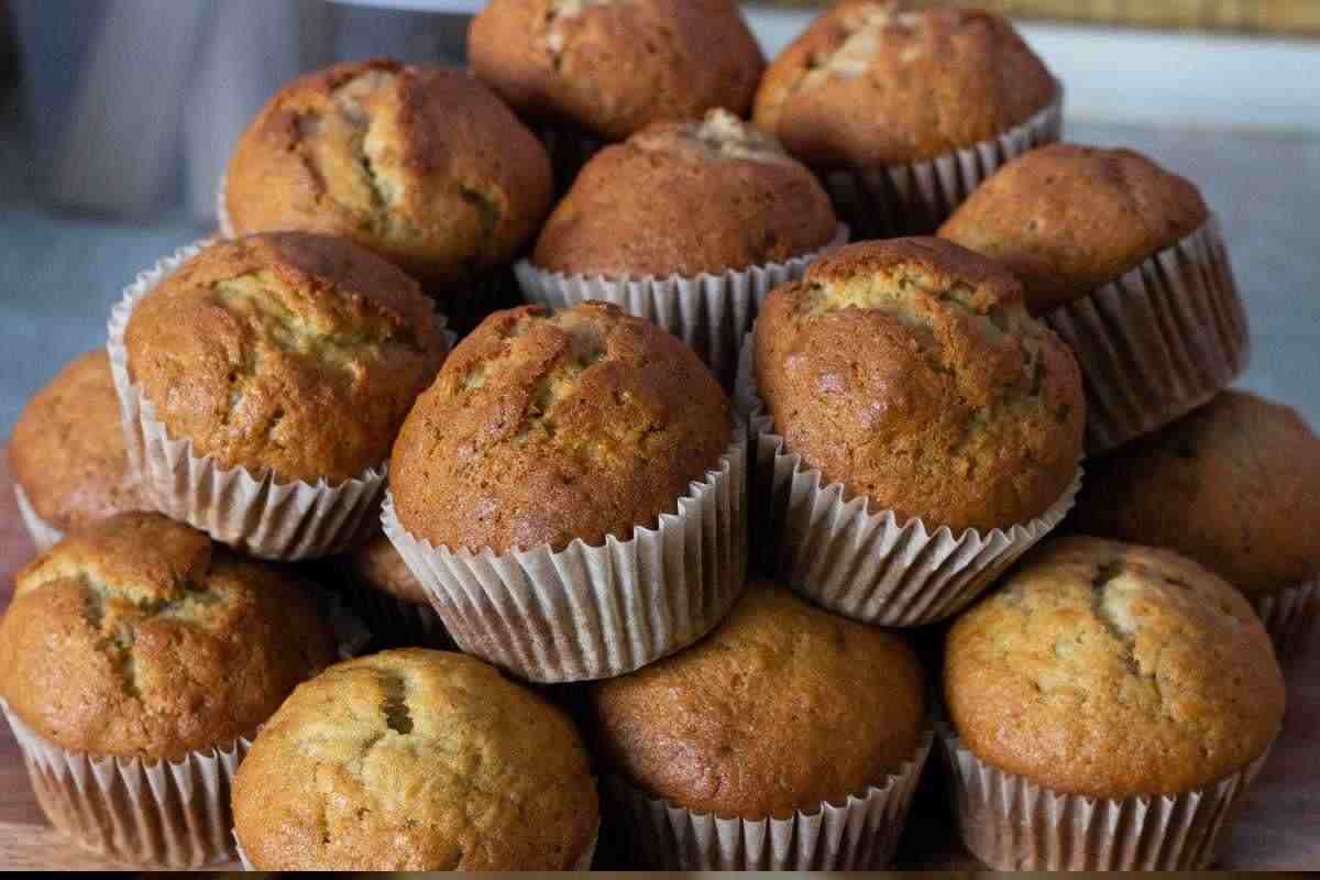 muffin