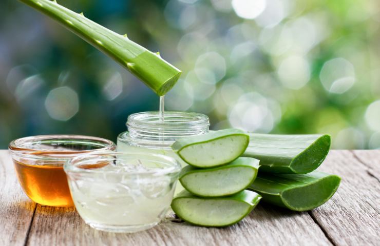 Miele ed aloe vero