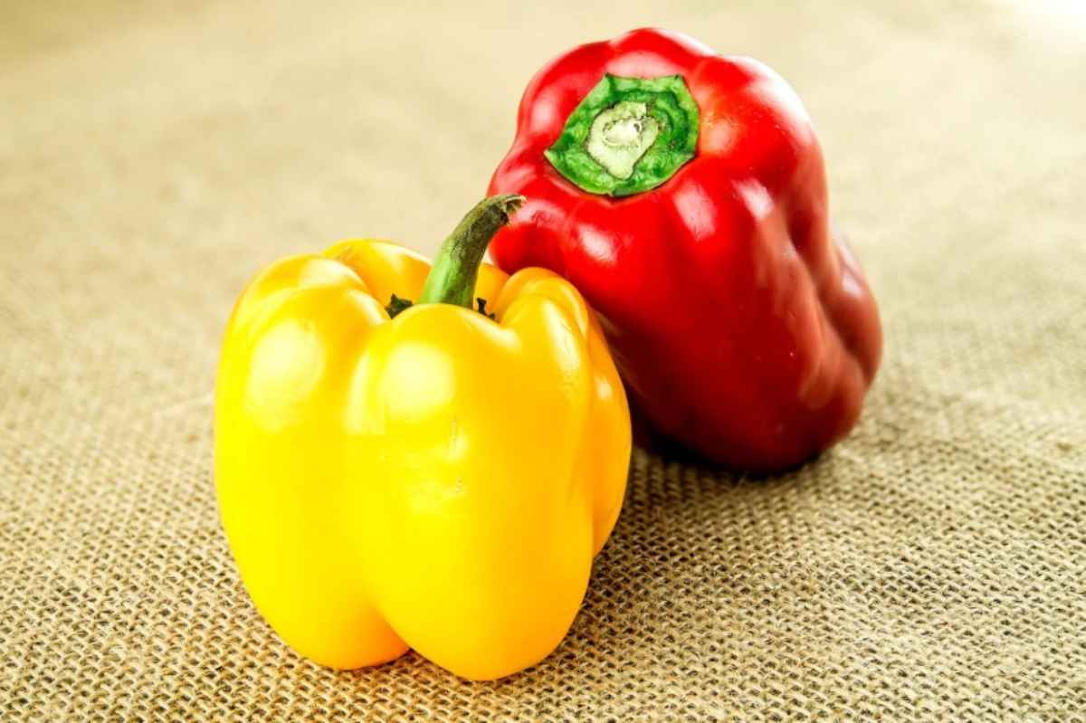 Peperone rosso e giallo