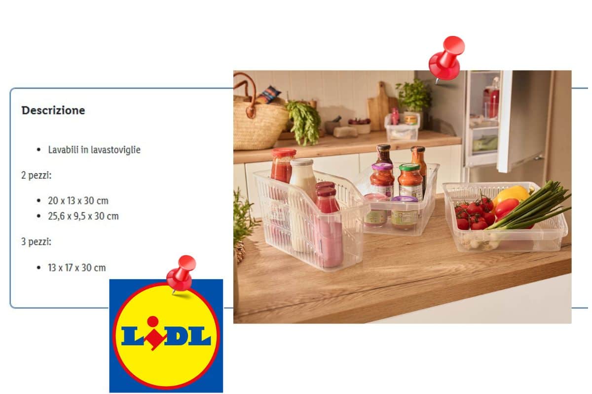 screen organizer offerta LIDL
