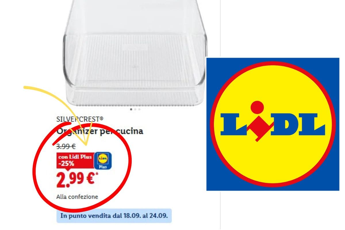 screen sconto lidl plus su organizer