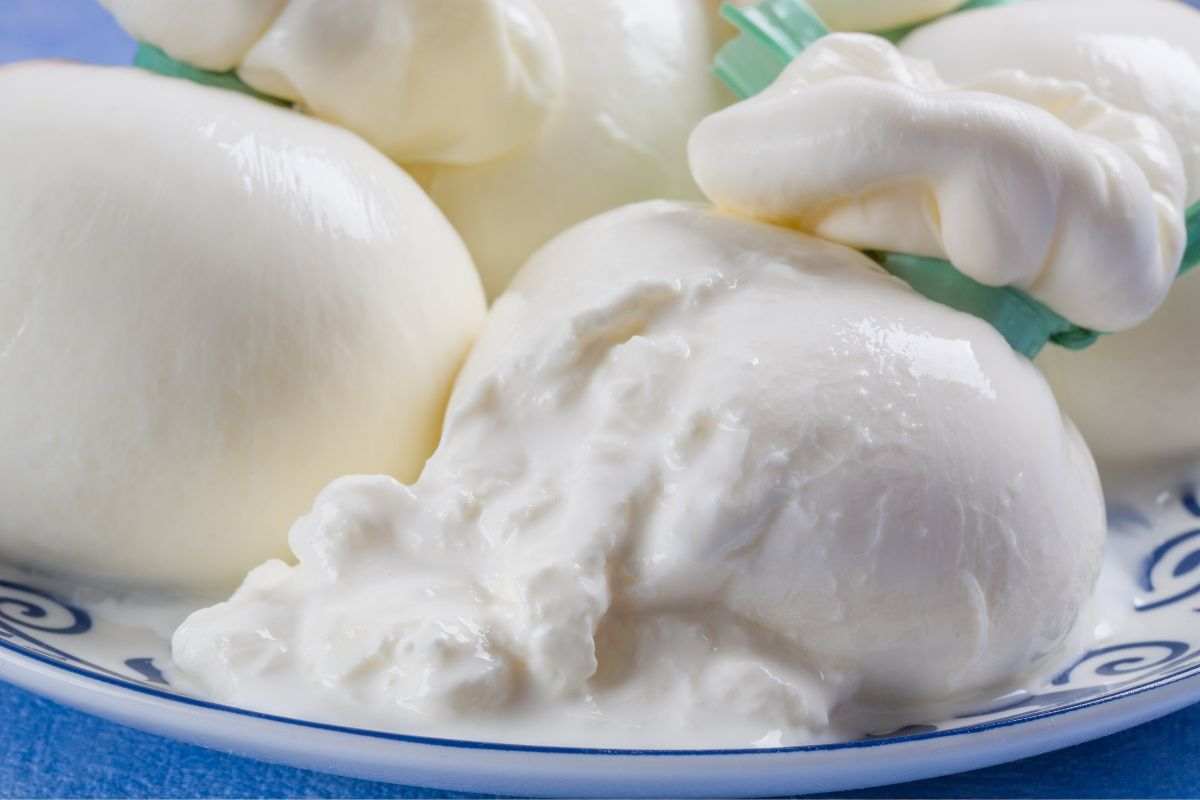 burrata