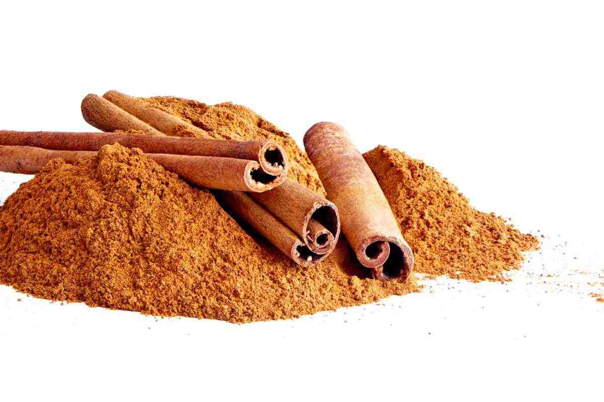 cannella