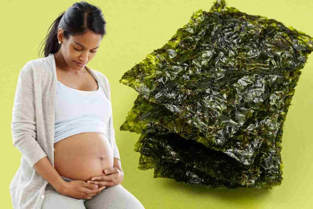 fogli alga nori