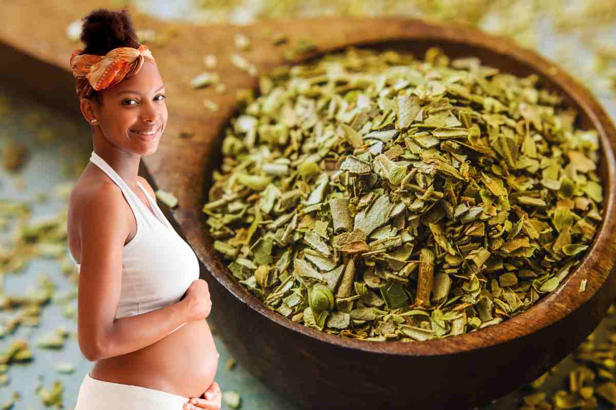 origano donna incinta