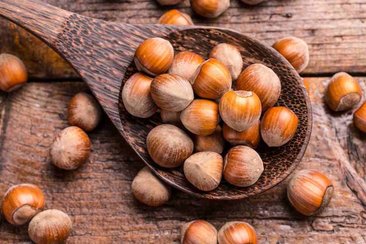 nocciole