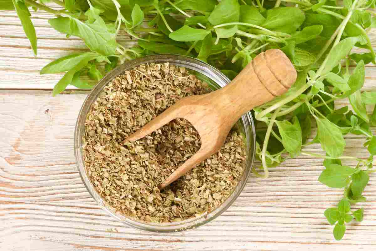 origano
