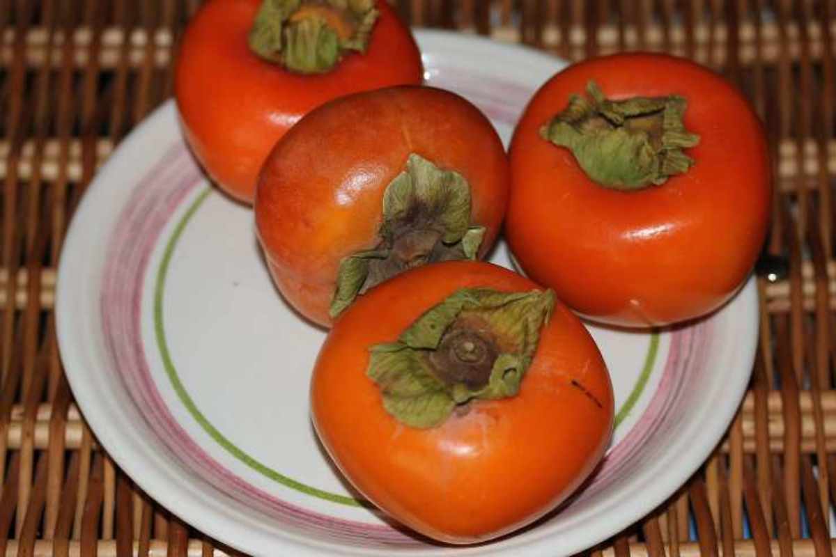 cachi in un piatto