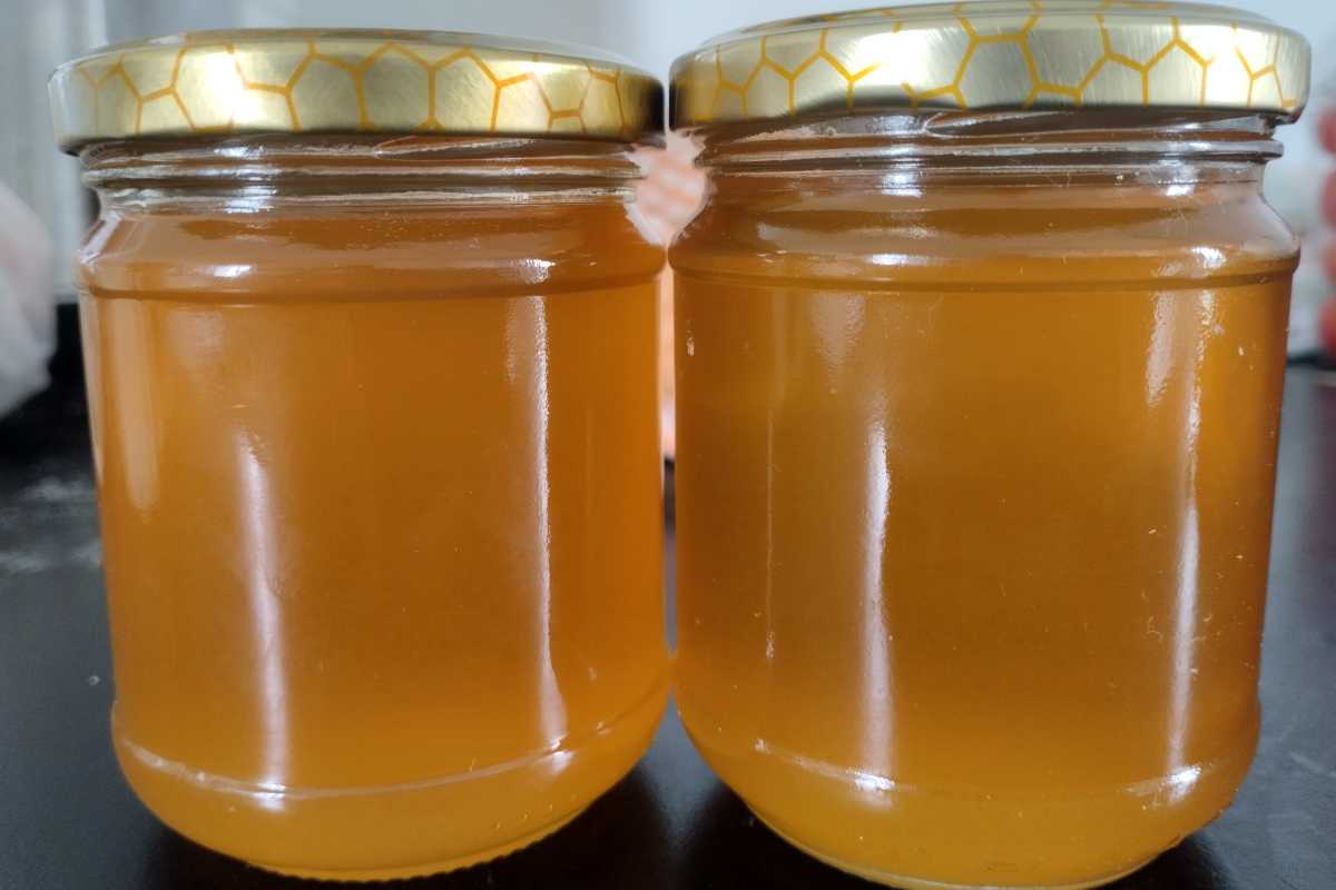 barattoli di miele
