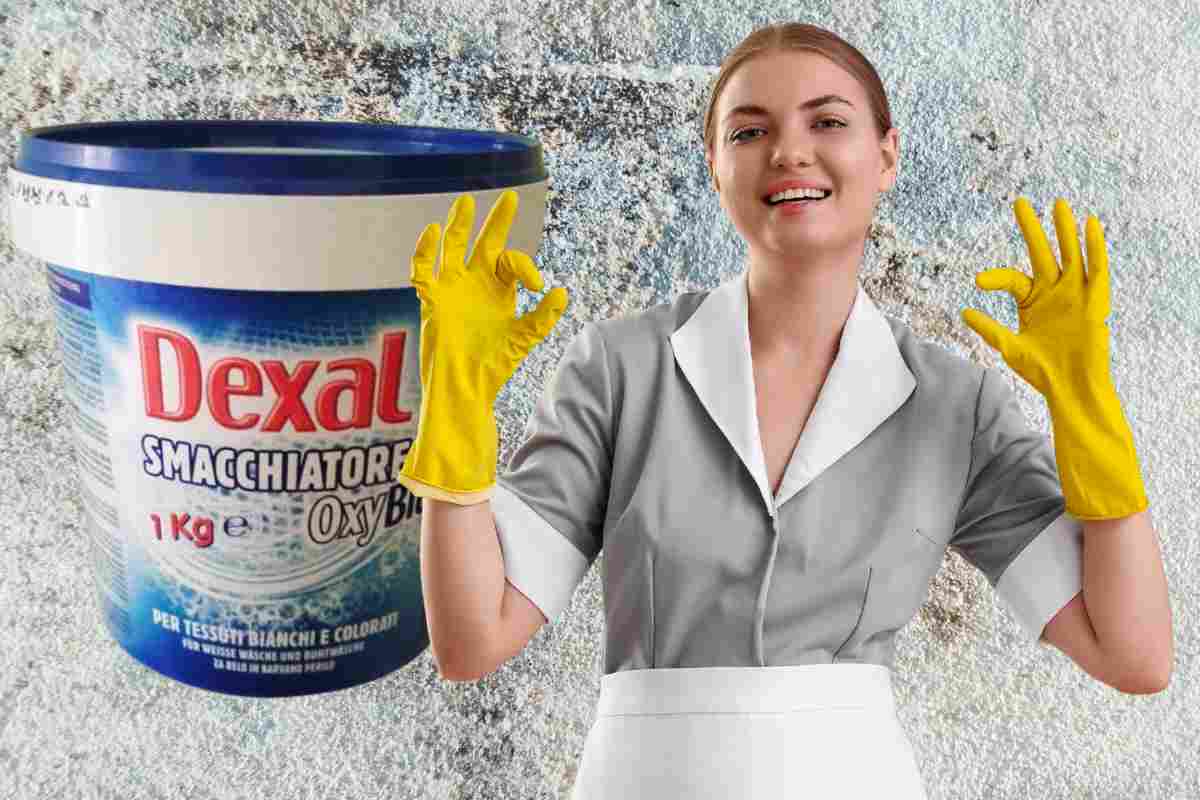 casalinga fa ok a prodotto eurospin con percarbonato di sodio