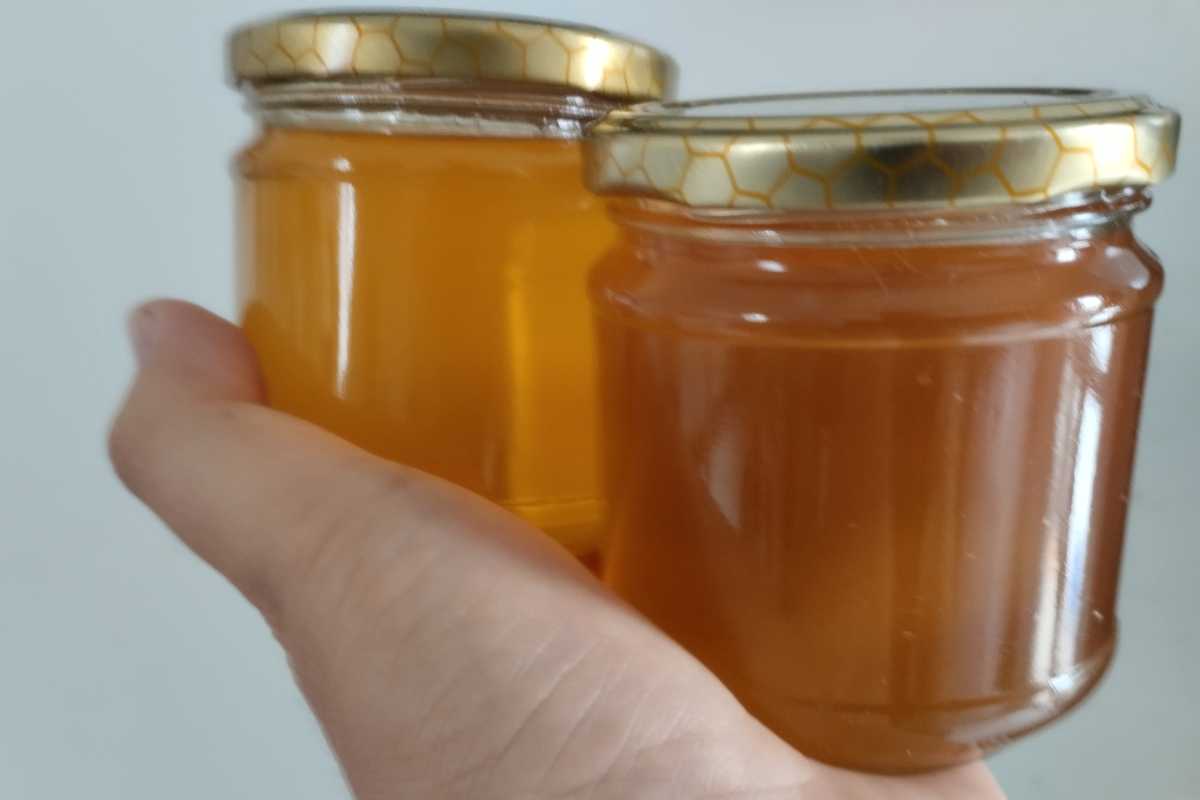 mano tiene barattoli di miele
