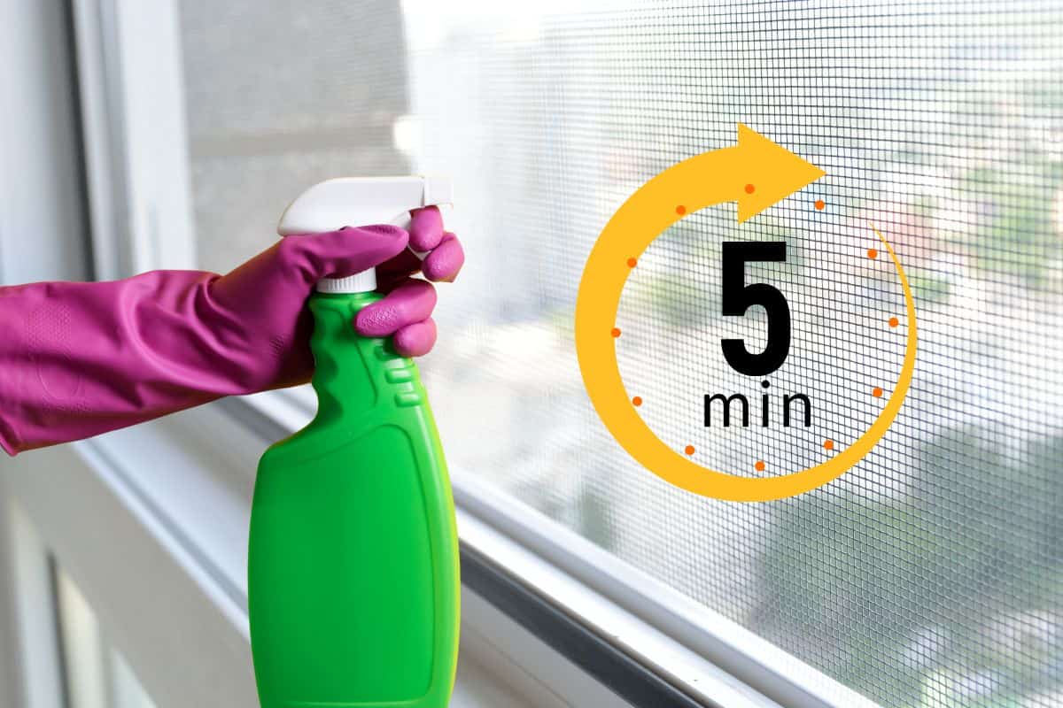 zanzariera, mano con il guanto e uno spray, timer 5 minuti