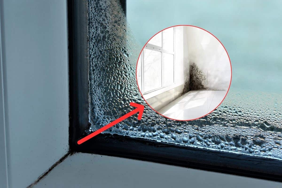 finestra con condensa, e una freccia rossa che indica cornice rotonda con dentro angolo finestra con muffa