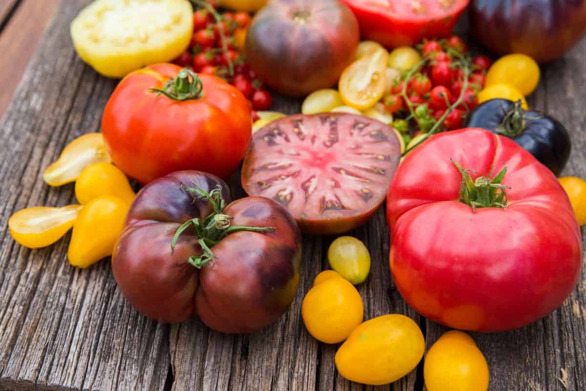 varie tipologie di pomodori interi e tagliati
