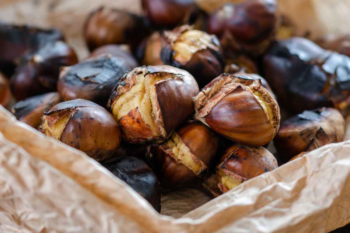 castagne cotte