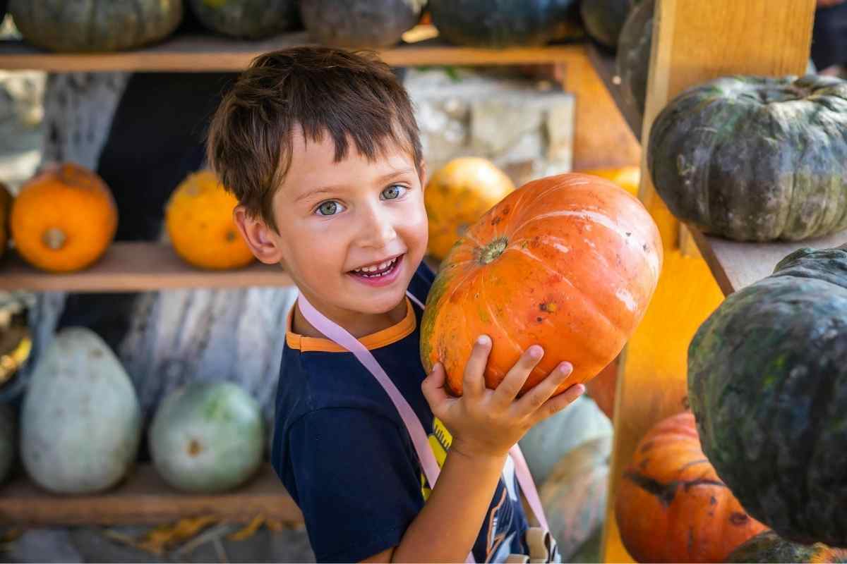 zucca di halloween fatta in casa come farla durare