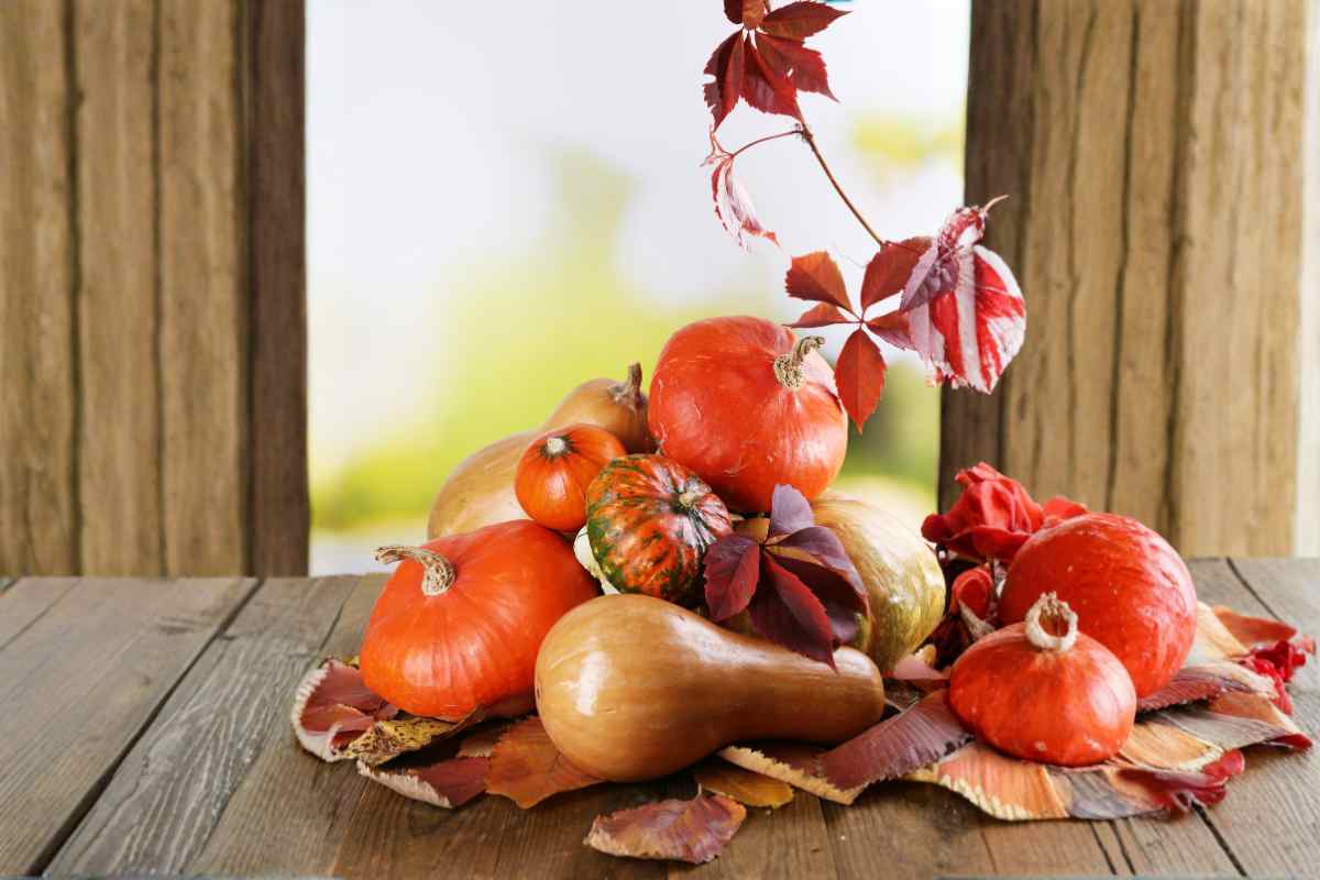 diversi tipi di zucca
