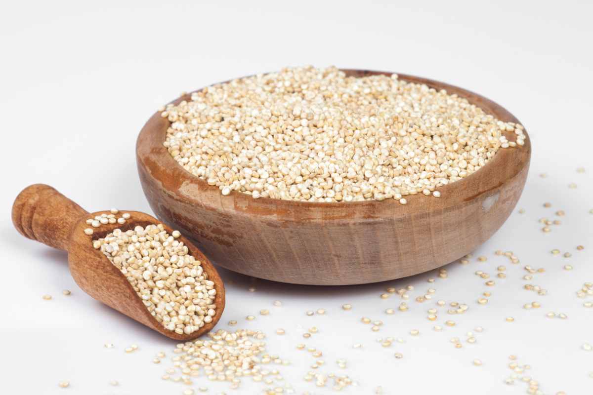 quinoa