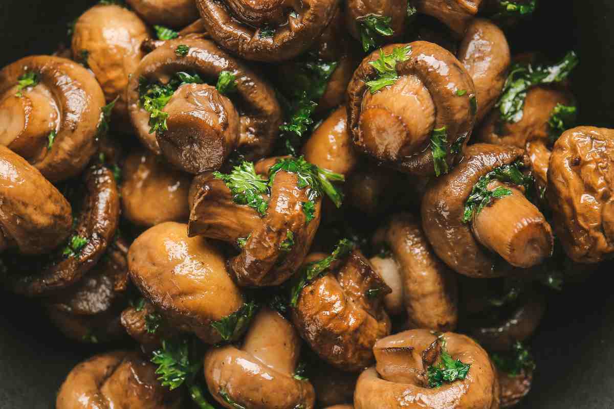 funghi trifolati