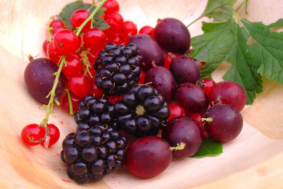 frutti rossi