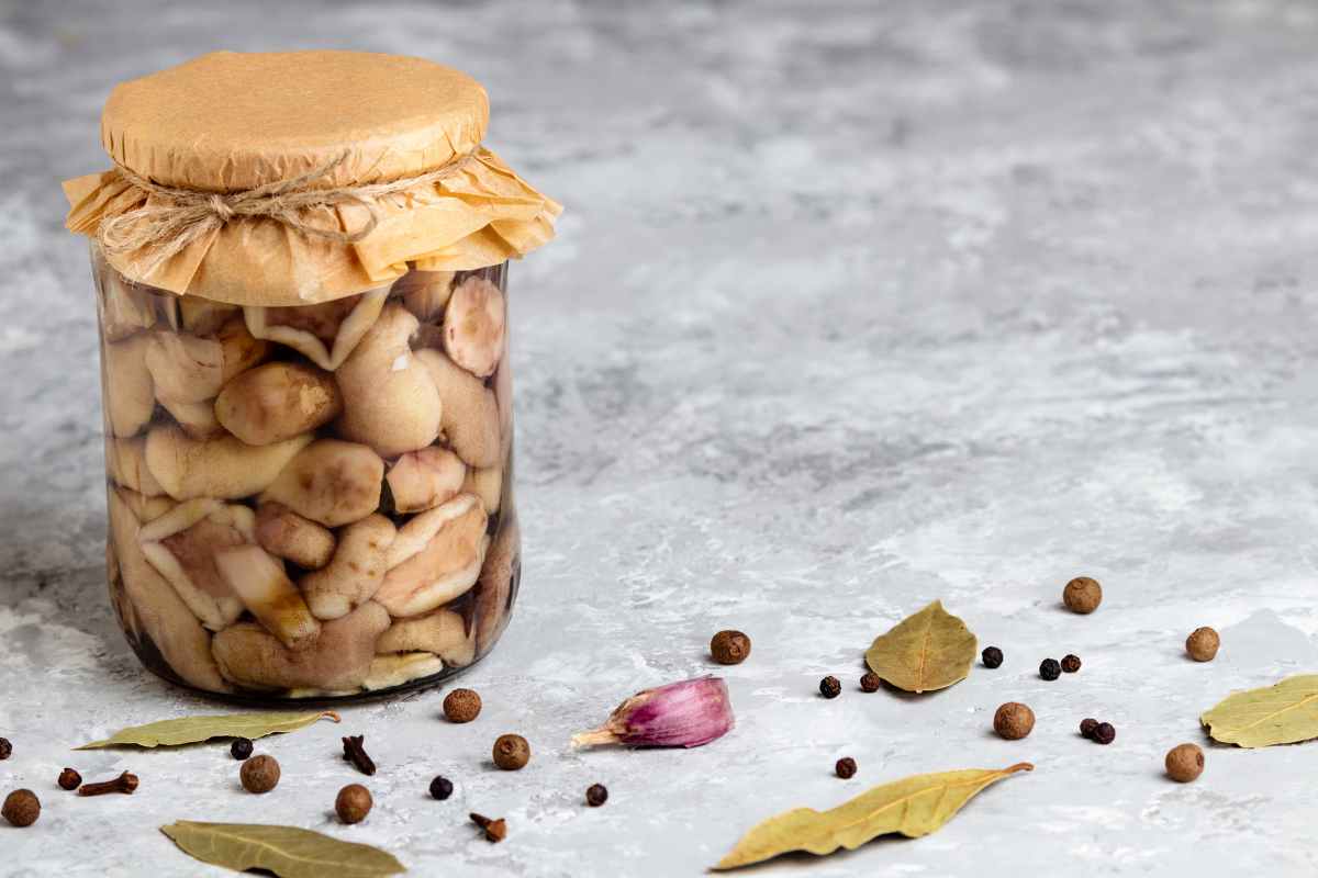 funghi sott'olio