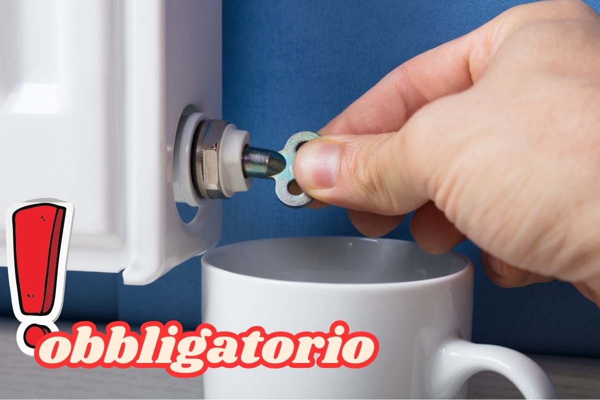 spurgare termosifoni