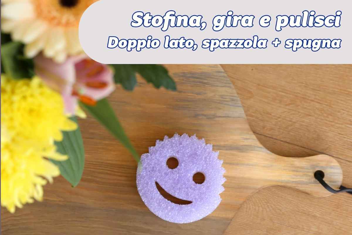 spugna scrub mommy