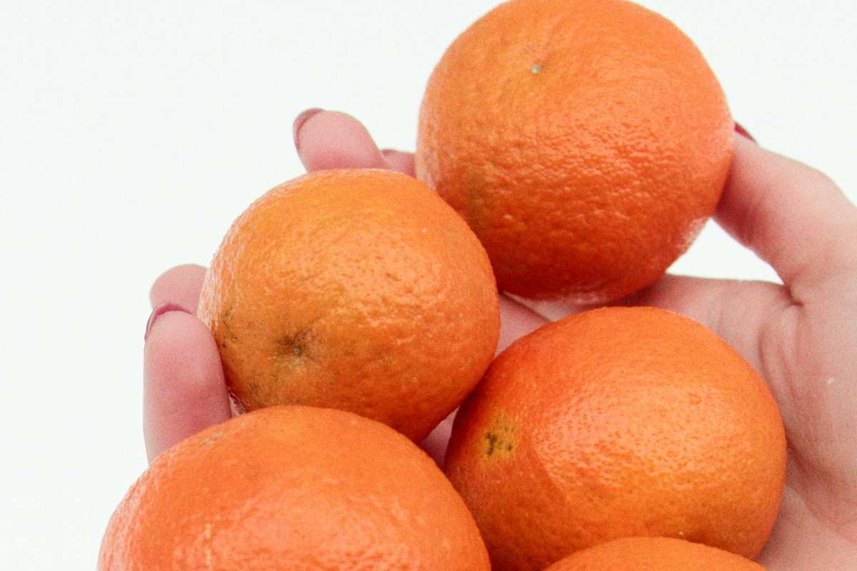 Vanno mangiati questi cibi per difese immunitarie