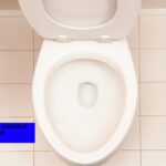 Coperchio WC chiudilo sempre