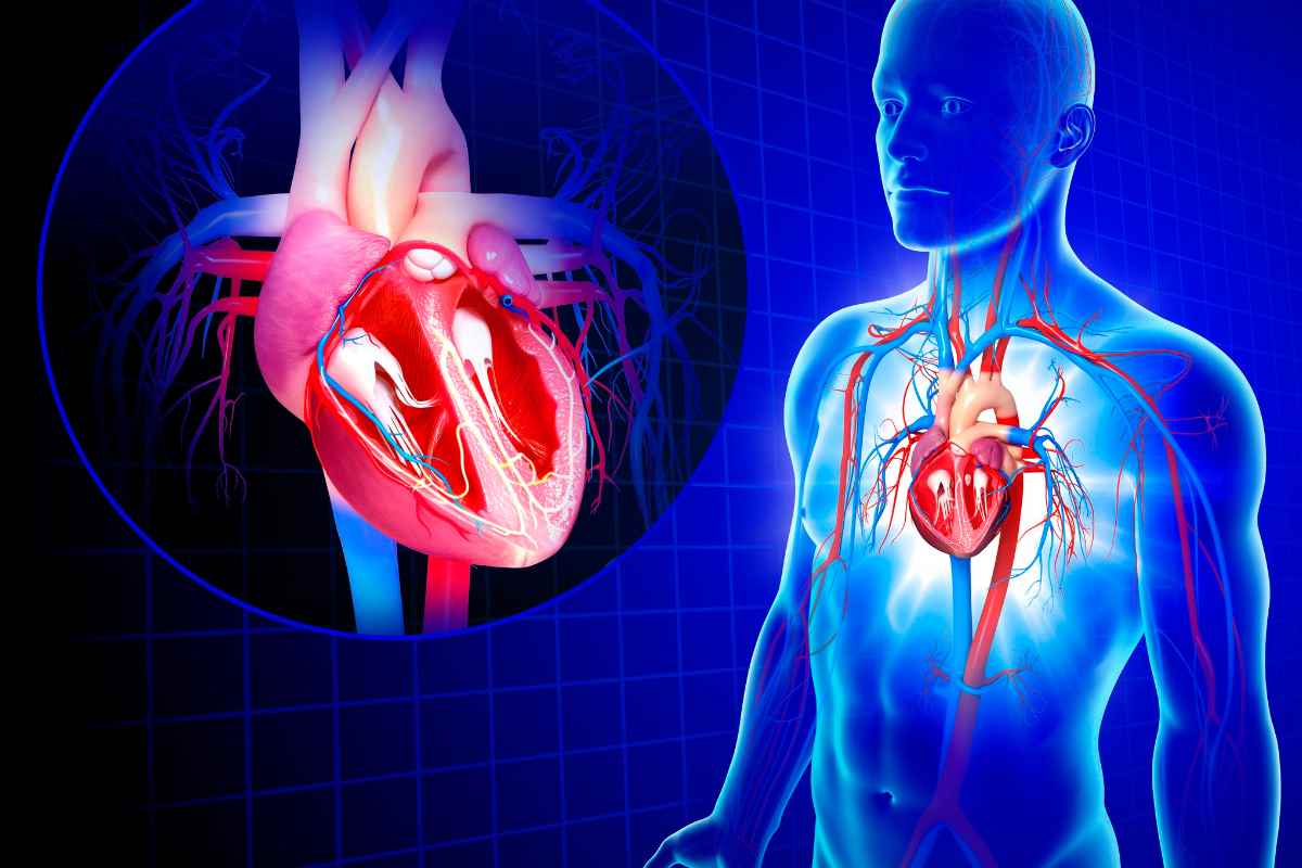 Dalle gengive fino al cuore