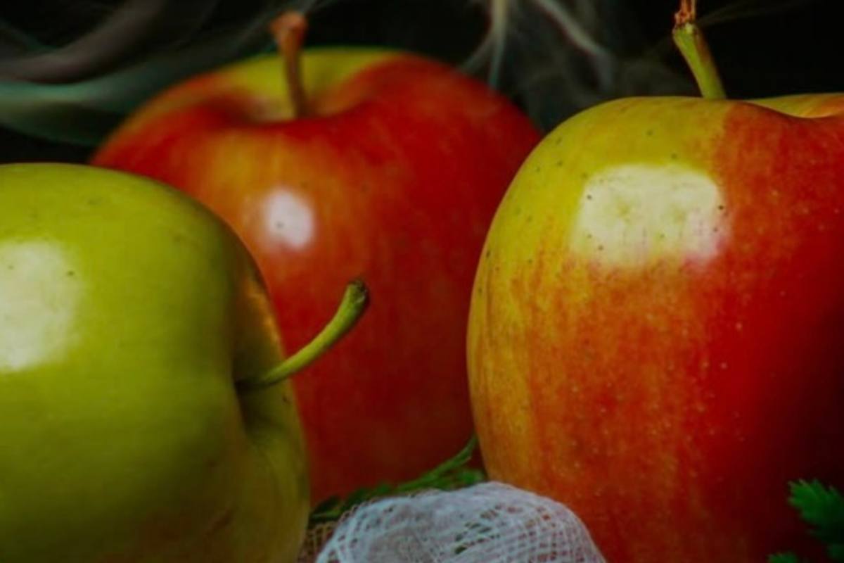 Pure di mele ricetta economica