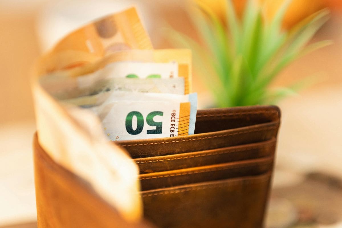 portafoglio con banconote euro