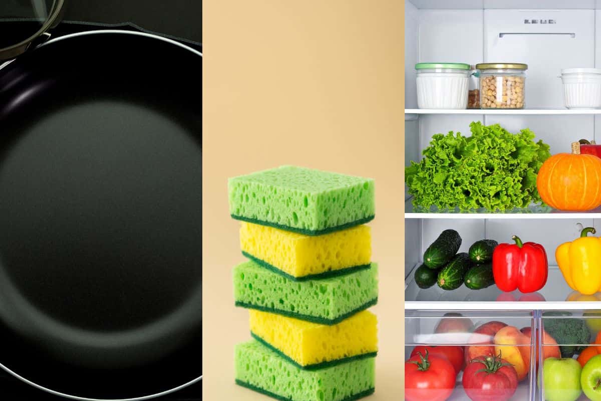 padelle antiaderenti, spugne lavapiatti e frigorifero