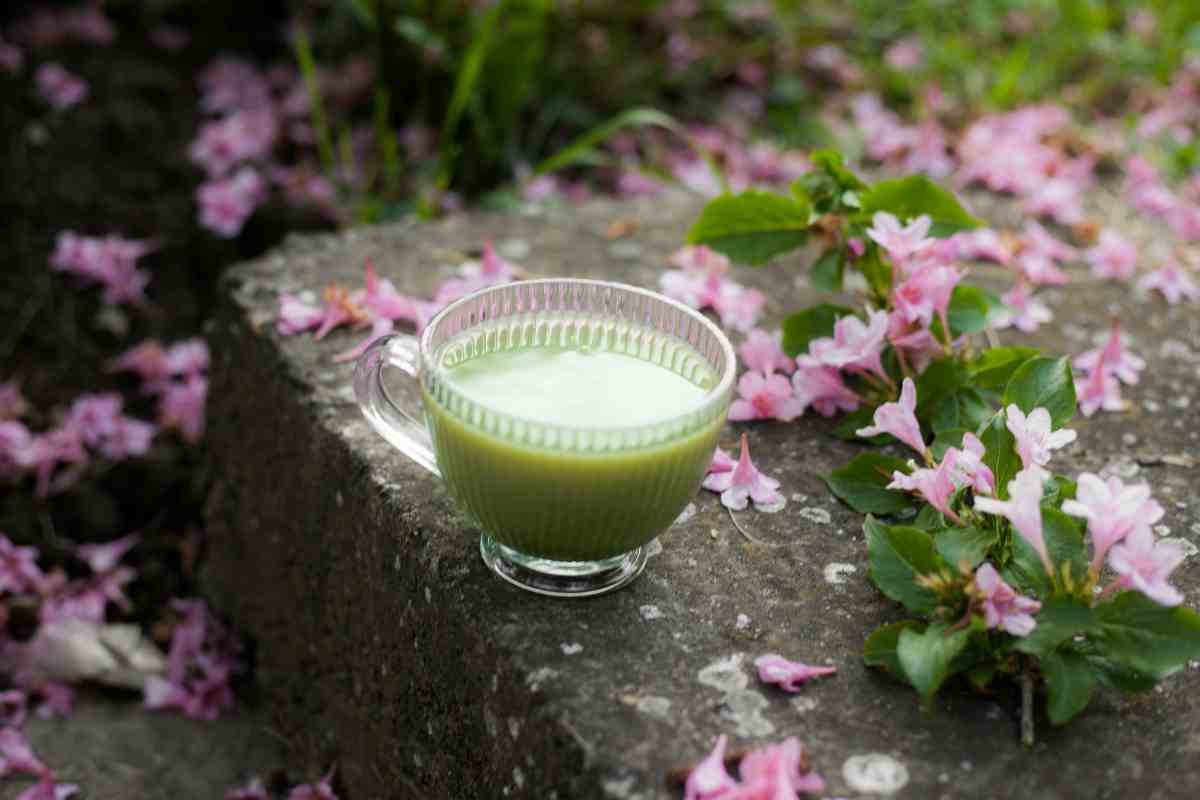 una tazza di té verde su un muretto con fiori