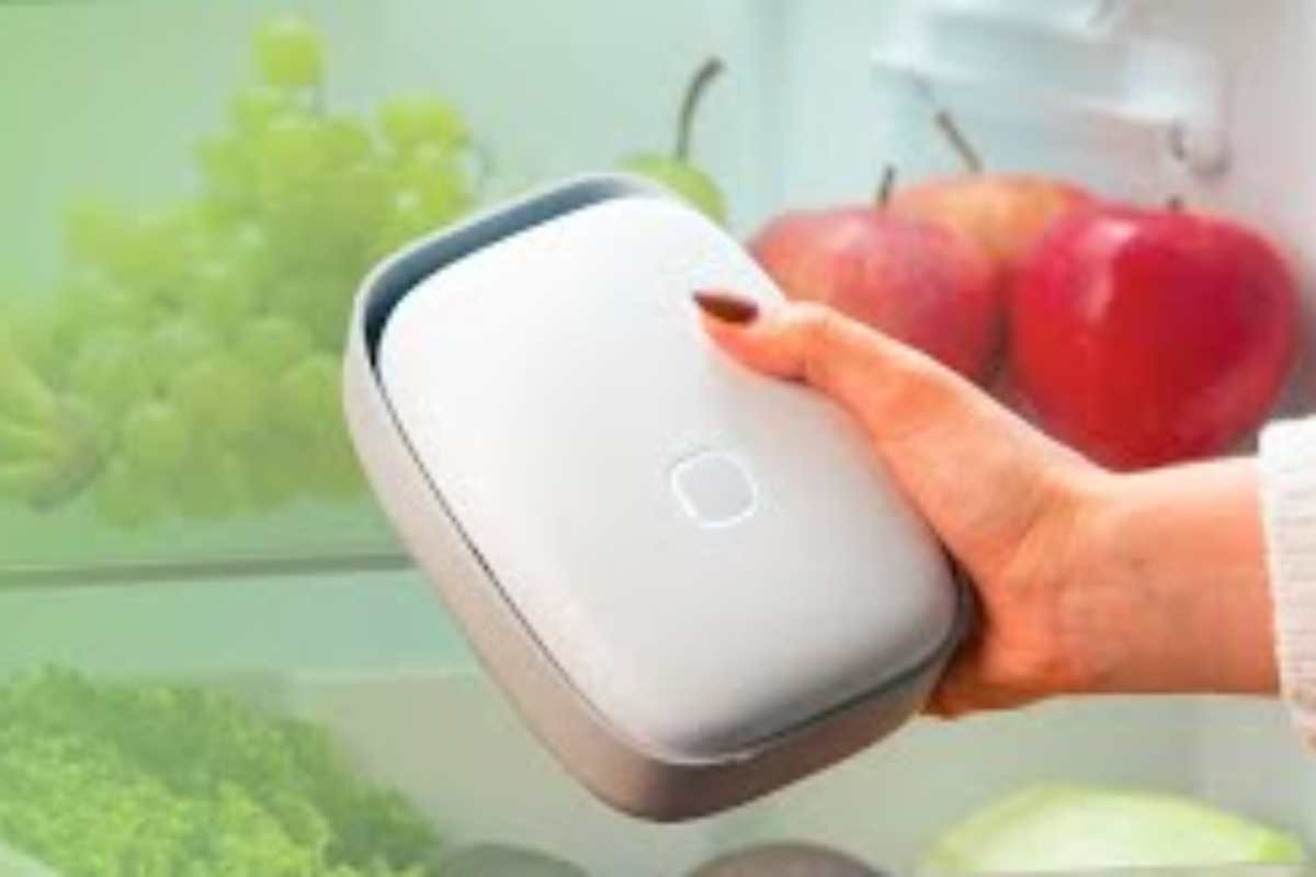 una mano mette shelfy in frigorifero