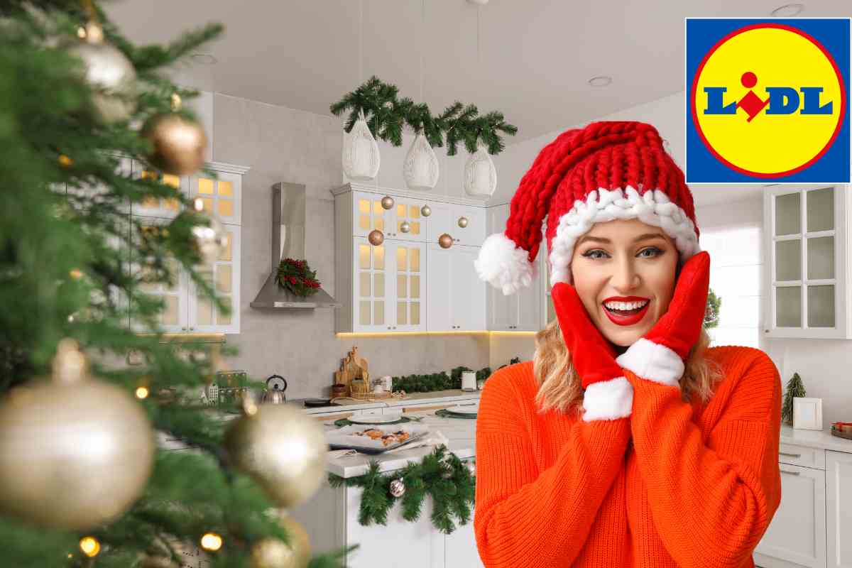 casa e donna natalizia logo lidl