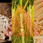 pane, cereali e pasta con sopra cartello attenzione rosso