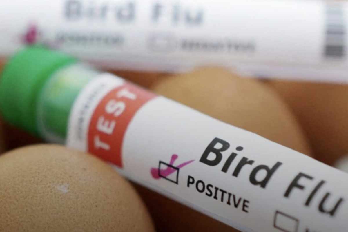 Bassetti lancia l'allarme