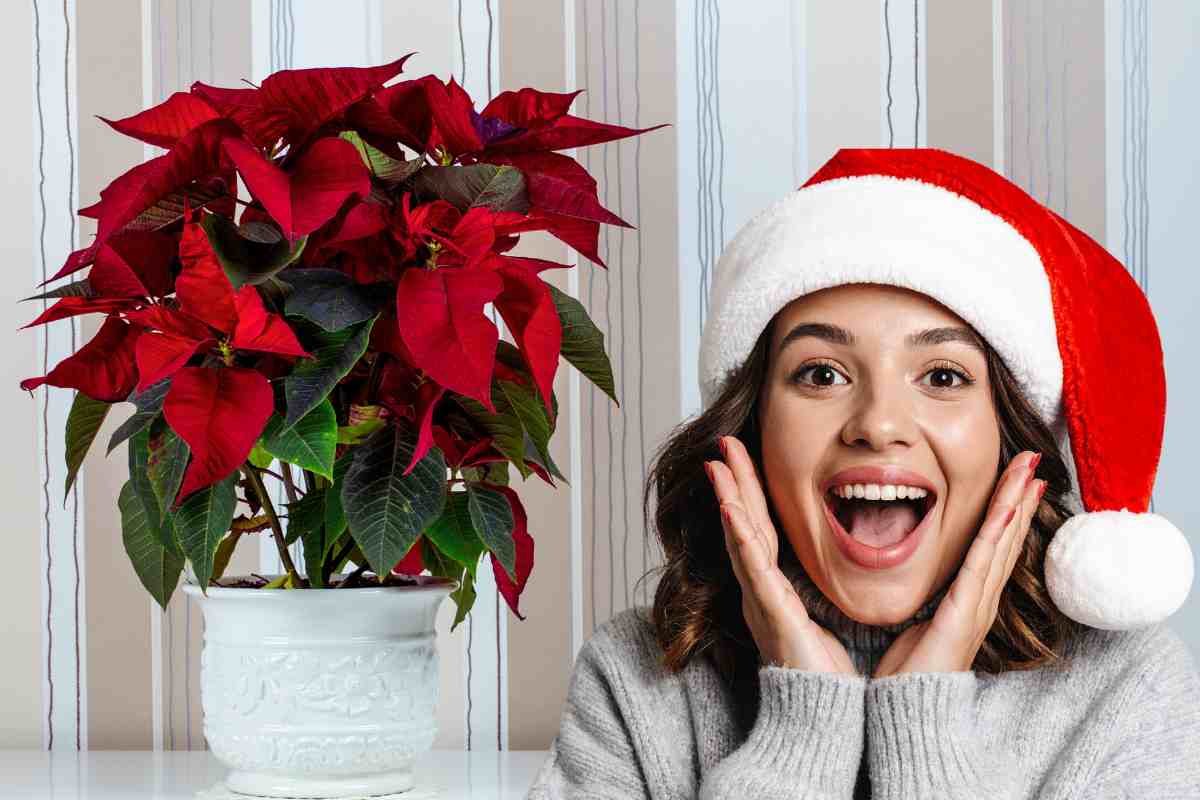 stella di natale ragazza felice