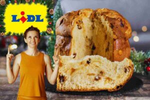 logo lidl panettone e donna felice