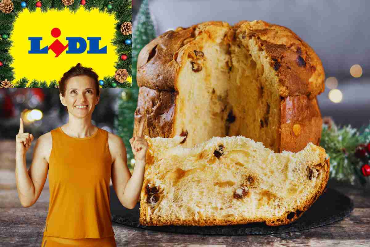 logo lidl panettone e donna felice