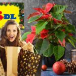 pianta di natale donna con buste della spesa logo natalizio lidl